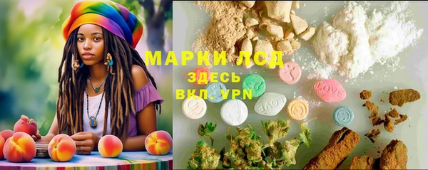 винт Аркадак